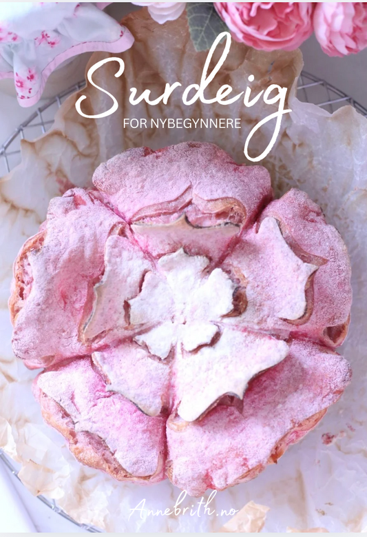 Surdeig for nybegynnere - Hefte - PLUSS GRATIS STARTER