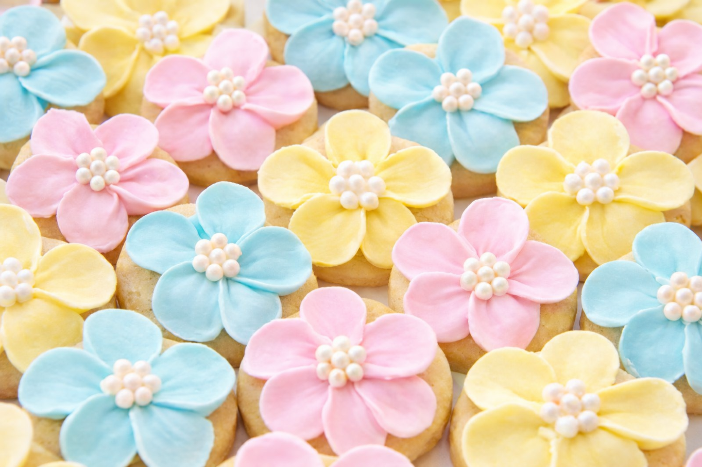 Sugar Cookies Hefte